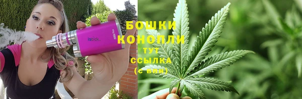 МДПВ Медвежьегорск