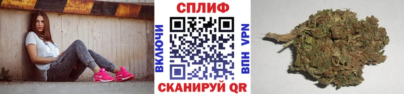 Бошки Шишки гибрид Шарья
